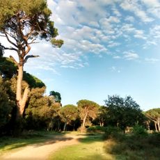Parco naturale di Migliarino, San Rossore e Massaciuccoli