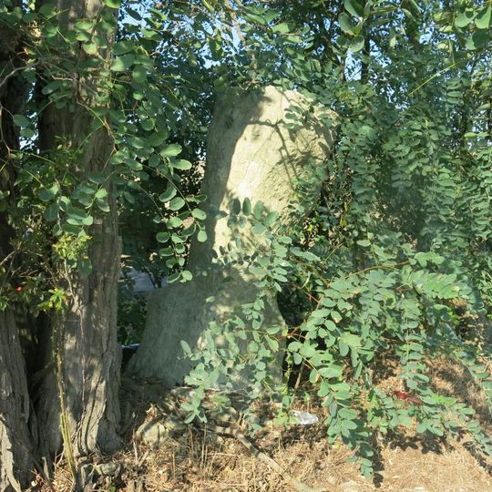 Kříž u silnice východně od Lipence