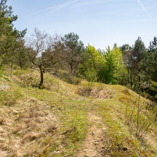 Kalkmagerrasen bei Ossendorf