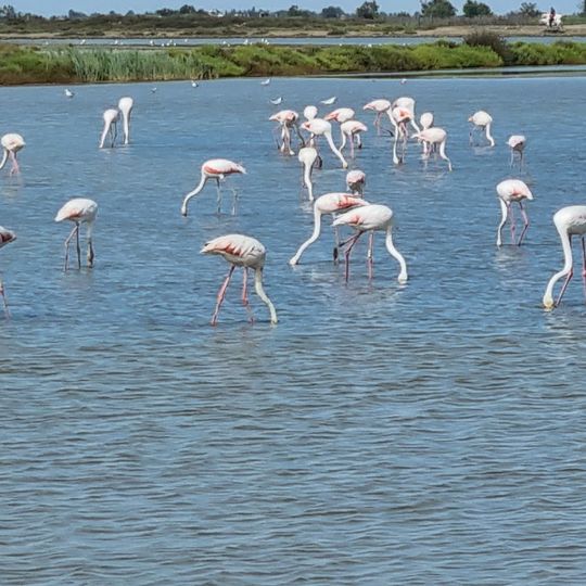 Camargue Regional Natural Park