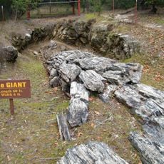 Petrified Forest