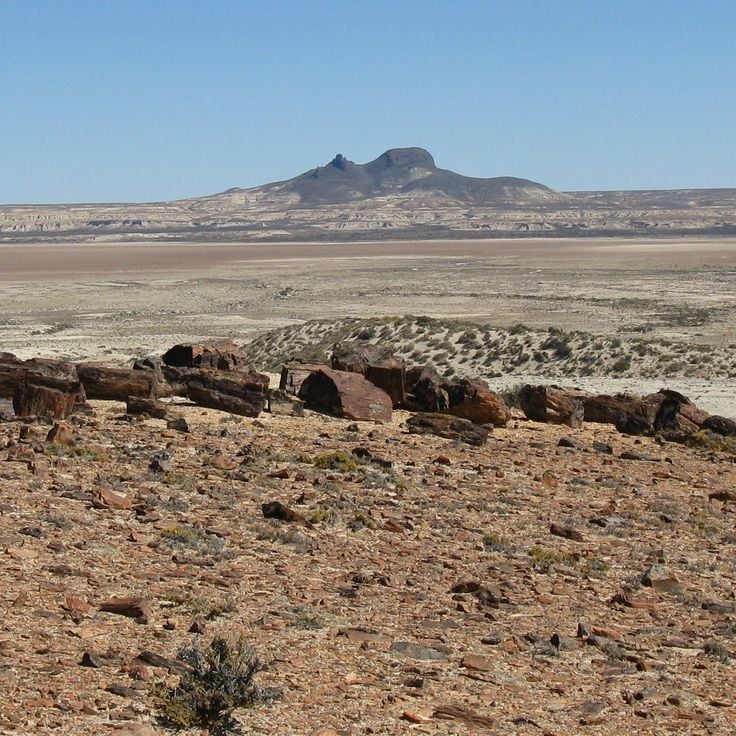 Jaramillo geologiske reservat