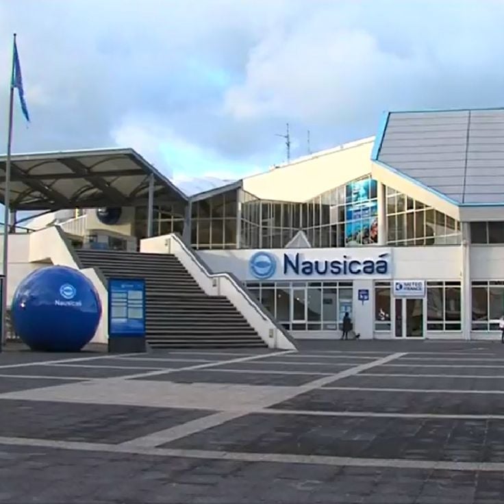 Nausicaá