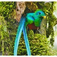 Photo spots in Guatemala