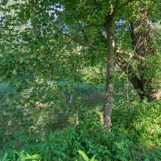 Innauen bei Schärding