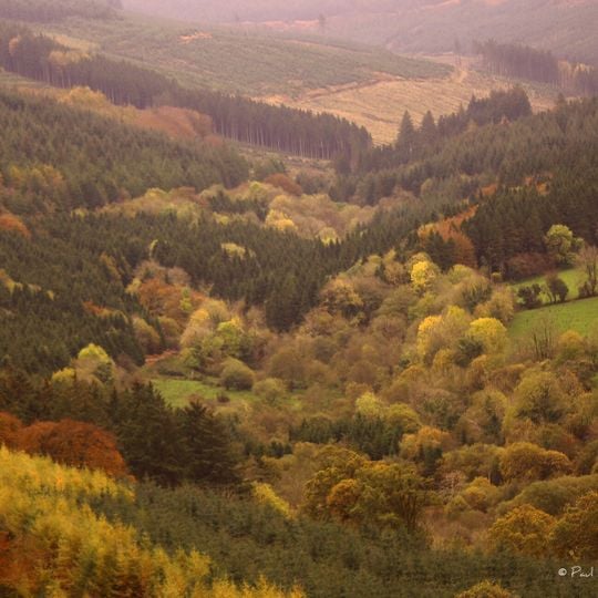 Slieve Bloom Mountains