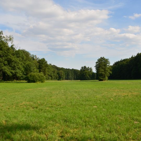 Waldwiesenbachtal von Oberhöchstadt