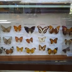 Museo de Historia Natural Noel Kempff Mercado
