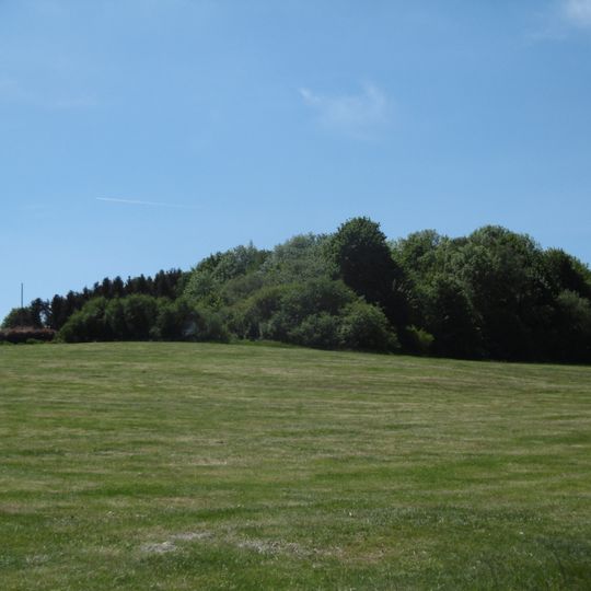 Feldgehölz westlich von Stockum