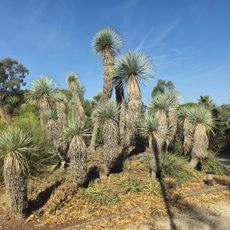 Jardin Zoologique Tropical