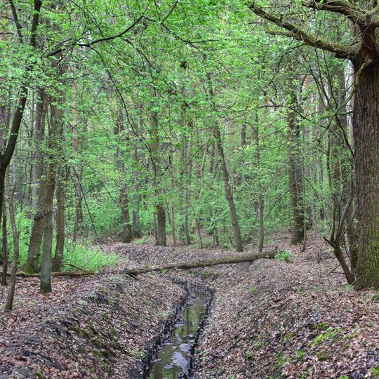 Rezerwat przyrody Kawęczyn