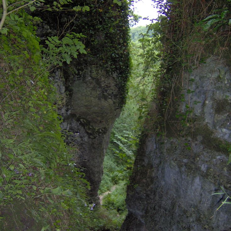 Ebbor Gorge