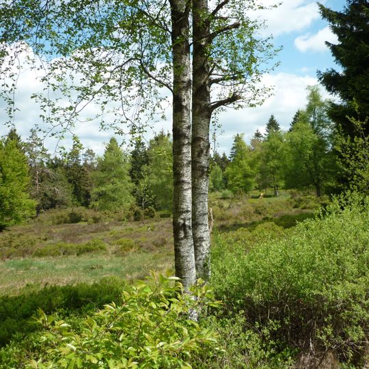 Schwarzbachsystem mit Haberg und Krenkeltal