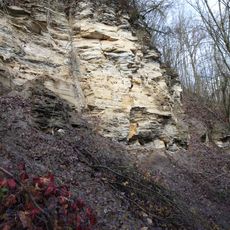 Prallhang des Mains SW von Nedensdorf (Trimeusel)