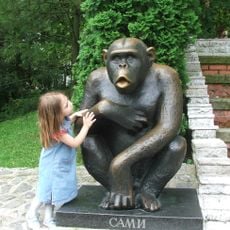 Сами