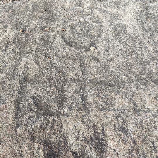 Gravuras abertas numa laje situada em face de Taião a Sudoeste do Monte de Fortes