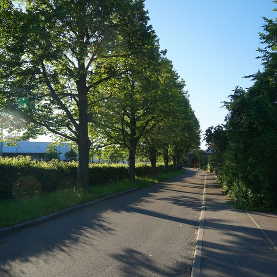 Lindenallee an der Lindenstraße