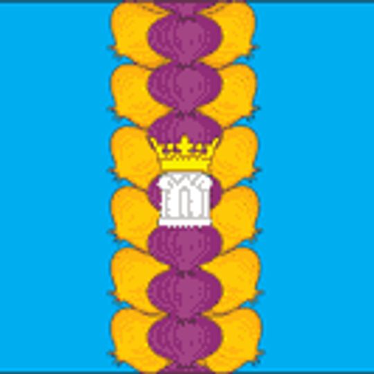 Сельскае паселішча Няпецінскае