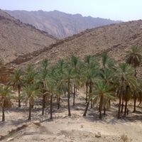 Tangestan (Verwaltungsbezirk)