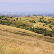 Werneth Low