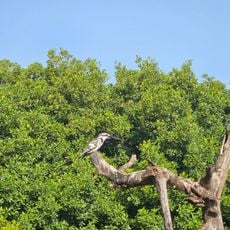 Tanji Bird Reserve