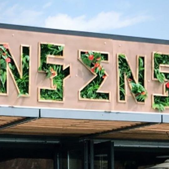 Insensé