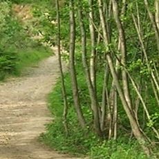 Cilento, Vallo di Diano and Alburni National Park
