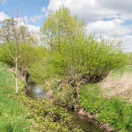 NSG Aberg-Herrengraben