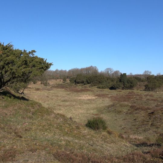 Dünen am Rimmelsberg