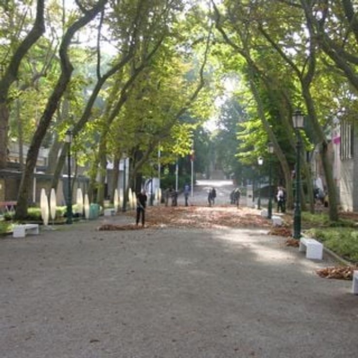 Джардини