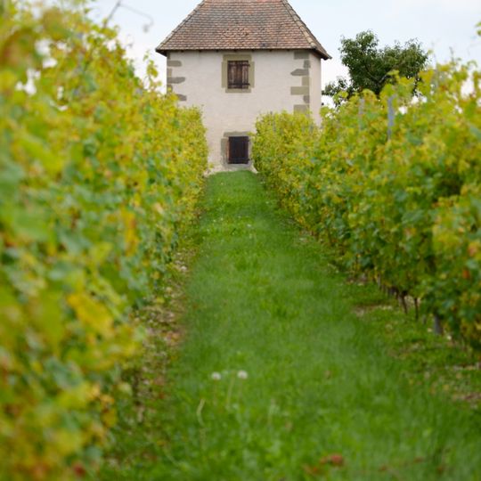 Capite de vigne de Verbant