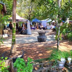 Fairhill Native Plants and Botanic Gardens