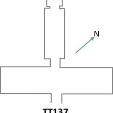 TT137