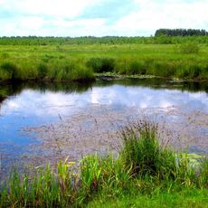 Ozerskyi Nature Reserve