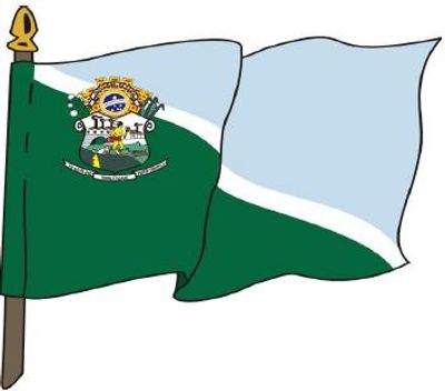 Flag 0
