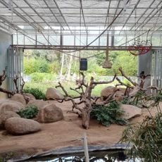 Vivarium Darmstadt