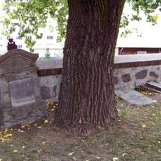 Churchyard of Saint Sigismund church in Łosice