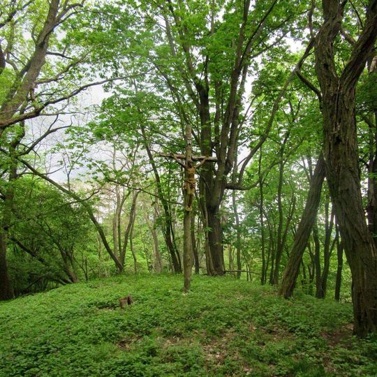 Kříž u vrchu Dubensko