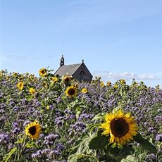 Boarhills Parish Church And Churchyard