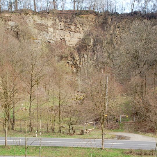 NSG Auf der Scheidthecke und Hoverbachtal