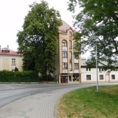 Pomnikowe lipy przy ulicy Moniuszki 8