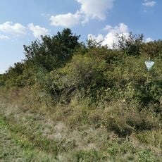 Naturdenkmal Trockenbiotop Behrenbusch