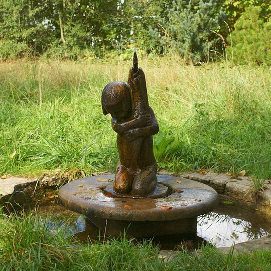 Fischfänger / Zierteich