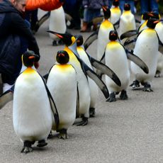 Zoo Basel