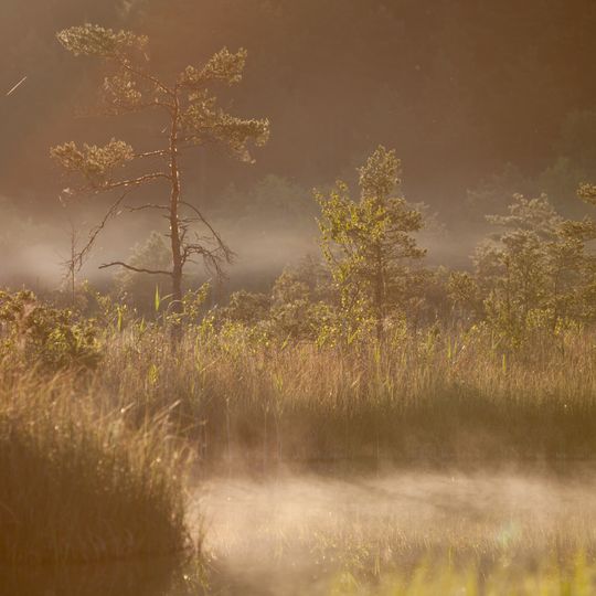 Sulfur pond in Raganu swamp