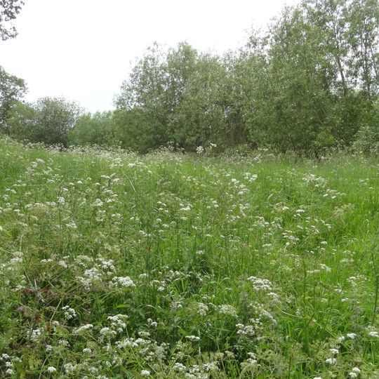 Down Barns Moated Site