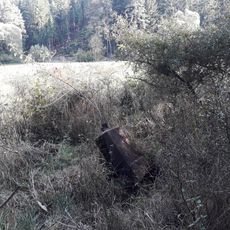 Kříž jihovýchodně od Vlkošova u okraje lesa