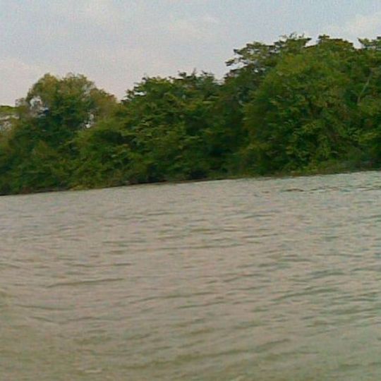 Tamesí River