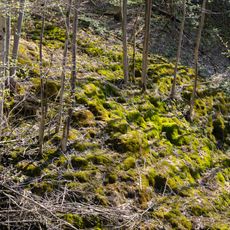 Kalksinterbäche nördlich von Frankendorf