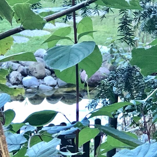 Water Fountain Frohburgstrasse